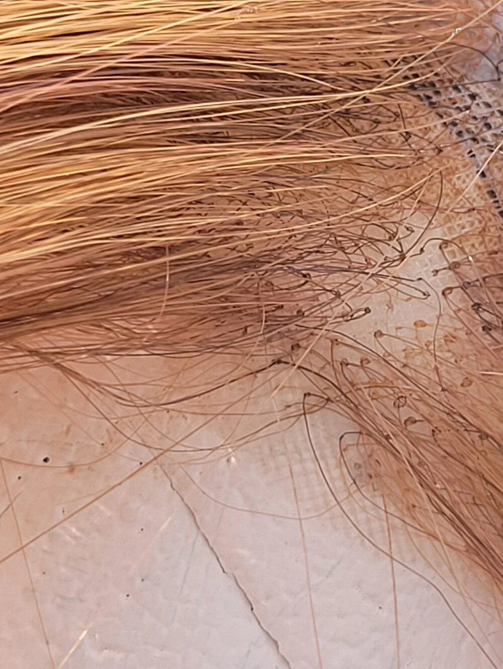 Tressallure worn twice